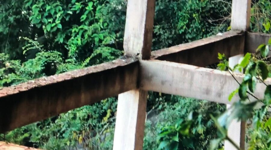 Vizinhança: Quintal. Futuro Salão - Garagem. Tigüera 360, Juiz de Fora, Minas Gerais/MG, Brasil. Registro de Capoeira Mestre Polêmico - Professor João Couto Teixeira. IMG_3117. 149,8 MB. 07h56. 29 de maio de 2020.