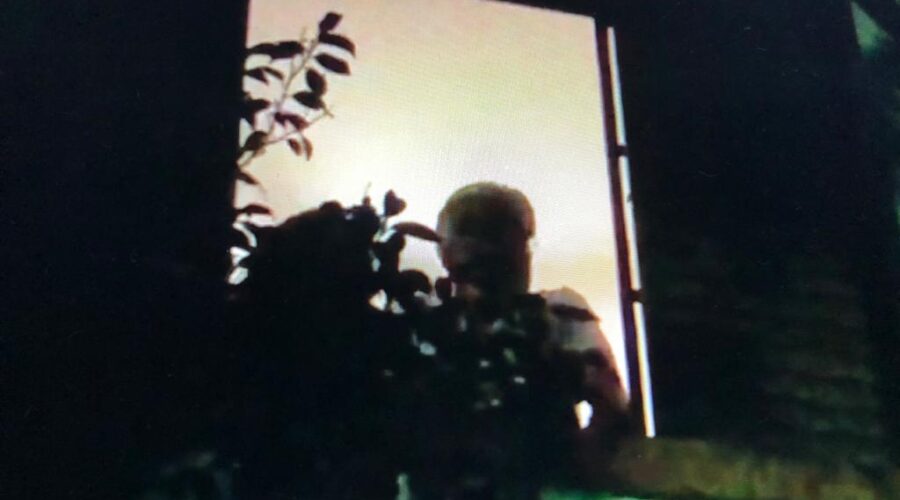 Capoeira Mestre Asé Dudú - Faustino Luiz Couto Teixeira: Homenagem Fraternal. Tigüera 328, Juiz de Fora, Minas Gerais/MG, Brasil. Registro de Capoeira Estrela Dalva - Artista Plástica e Cineasta Salete Libardoni. IMG_3733. 164,7 MB. 20h25. 11 de junho de 2020.