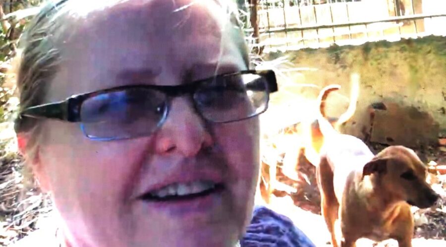 Canídeos: Chácara Pau D'Óleo. Residencial Café Planalto, Sobradinho, Distrito Federal/DF, Brasil. Registro de Capoeira Mestre Polêmico - Professor João Couto Teixeira. IMG_3746. 112,5 MB. 10h19. 14 de julho de 2015.