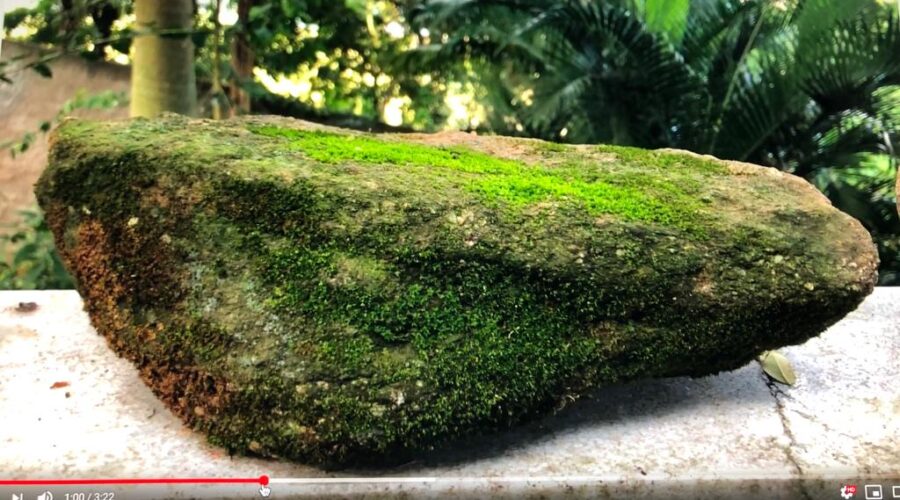 Trem Pedras Tigüera 360 Juiz de Fora Minas Brasil IMG_1710 197,3 MB 07h51 06mai20