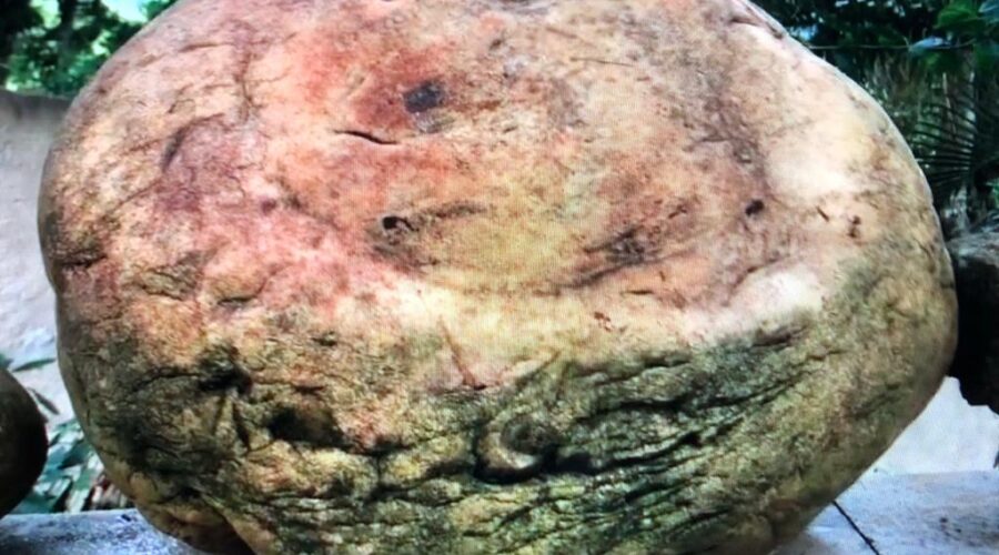 Trem: Pedras. Quintal Alto, Adubeira, Tigüera 360, Juiz de Fora, Minas Gerais/MG, Brasil. Registro de Capoeira Mestre Polêmico - Professor João Couto Teixeira. IMG_1724. 70,9 MB. 08h54. 06 de maio de 2020.