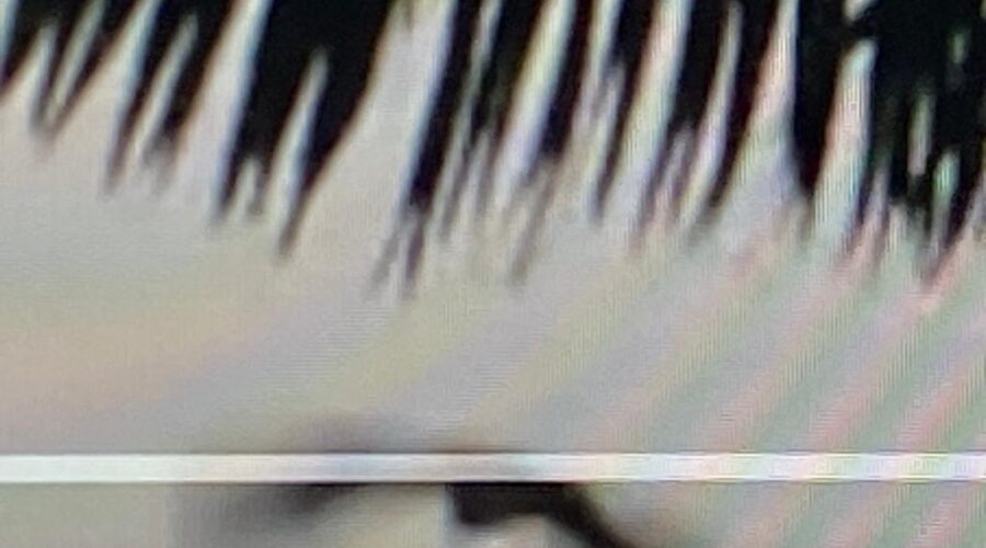 Corujas: Quintal Alto. Tigüera 360, Juiz de Fora, Minas Gerais/MG, Brasil. Registro de Capoeira Mestre Polêmico - Professor João Couto Teixeira. 95,2 MB. 17h39. Segunda-feira, 13 de julho de2020. HD 720p.