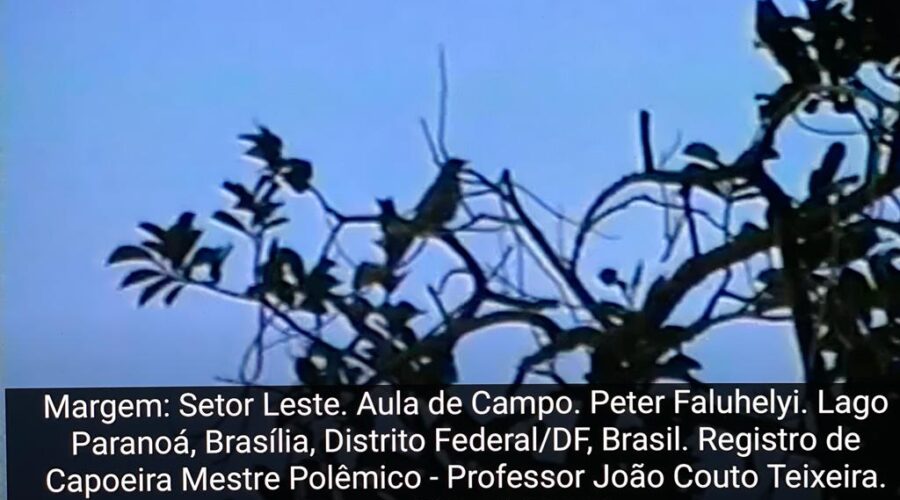 Universidade Livre de Estudos Culturais da Capoeira - Universidade da Capoeira - UNICAPOEIRA, Instituto de Educação Socioambiental - IESAMBI e Grupo de Capoeira Meia Lua - Fundado em 29 de Maio de 1962: Projeto Margem.Segunda Aula de Campo. Professor Peter Faluhelyi. Lago Paranoá, Centro de Ensino Médio Setor Leste - CEMSL, Secretaria de Estado de Educação - SEE, Brasília, Distrito Federal/DF, Brasil. Registro de Capoeira Mestre Polêmico - Professor João Couto Teixeira. Século XXI. 614,1 MB. Segunda-feira, 29 de Março de 1999.