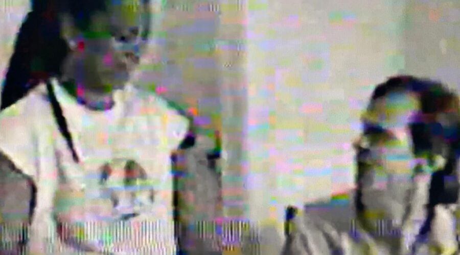 Capoeira Mestra Edna Lima: 428,2 MB. Nova York. Acervo Capoeira Mestre Adelmo Pereira Lima. Registro de Capoeira Mestre Polêmico - Professor João Couto Teixeira.