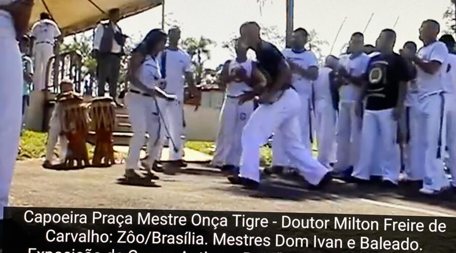 Capoeira no Zôo de Brasília: Praça Mestre Onça Tigre - Doutor Milton Freire de Carvalho. Capoeira Mestres Dom Ivan Zacarias Guimarães Gobbo e Baleado - Risomar Torres Arruda. Distrito Federal/DF, Brasil. Registro de Capoeira Mestre Polêmico - Professor João Couto Teixeira. 1,39 GB. 14h30. Segunda-feira, 04 de maio de 2015. 04. avi.