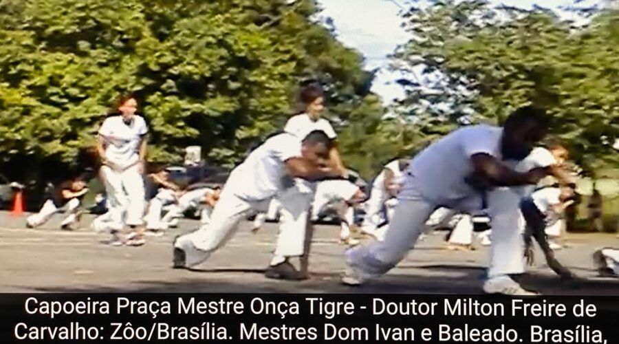 Capoeira no Zôo de Brasília: Praça Mestre Onça Tigre - Doutor Milton Freire de Carvalho. Capoeira Mestres Dom Ivan Zacarias Guimarães Gobbo e Baleado - Risomar Torres Arruda. Distrito Federal/DF, Brasil. Registro de Capoeira Mestre Polêmico - Professor João Couto Teixeira. 2,19 GB. 15h35. Segunda-feira, 04 de maio de 2015. 07. avi.