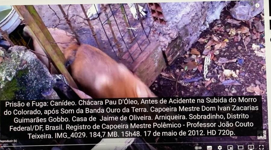 Prisão e Fuga: Canídeo. Chácara Pau D'Óleo, Antes de Acidente na Subida do Morro do Colorado, após Som da Banda Ouro da Terra. Capoeira Mestre Dom Ivan Zacarias Guimarães Gobbo. Casa de Jaime de Oliveira. Arniqueira. Sobradinho, Distrito Federal/DF, Brasil. Registro de Capoeira Mestre Polêmico - Professor João Couto Teixeira. IMG_4029. 184,7 MB. 15h48. Quinta-feira, 17 de maio de 2012. HD 720p.