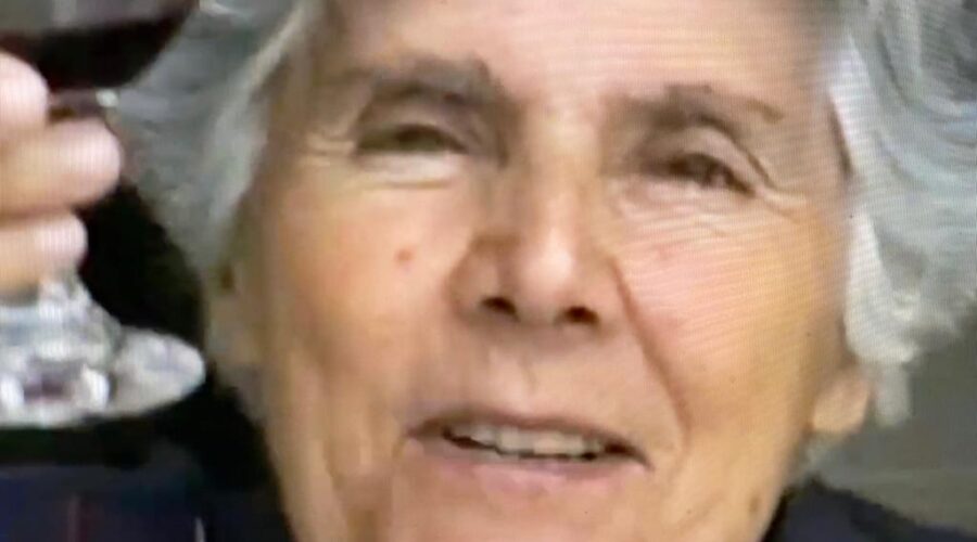 Célia Couto Teixeira: Marialú, Luiz Antônio Carvalho Letayf, Henrique Couto Teixeira, Maria Adelina Moraes Moreira, David Teixeira Irsigler, Angélica Cosenza Rodrigues, Laura Maria Moraes Teixeira e Ian Cosenza Teixeira Irsigler. Registro de Capoeira Mestre Polêmico - Professor João Couto Teixeira. Bom Pastor. 1,07 GB. Segunda-feira, 31 de Dezembro de 2000. HD 1080p.