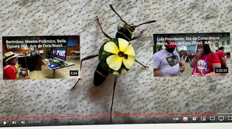 Inseto: Cortina. Churrasqueira, Tigüera 360, Juiz de Fora, Minas Gerais/MG, Brasil. Registro de Capoeira Mestre Polêmico - Professor João Couto Teixeira. IMG_2194. 40,4 MB. 07h43. Sábado, 06 de Novembro de 2021.