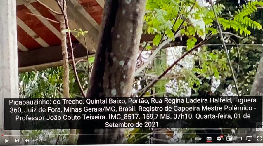 Picapauzinho-do-trecho: Quintal Baixo. Portão, Rua Regina Ladeira Halfeld, Tigüera 360, Juiz de Fora, Minas Gerais/MG, Brasil. Registro de Capoeira Mestre Polêmico - Professor João Couto Teixeira. IMG_8517. 159,7 MB. 07h10. Quarta-feira, 01 de Setembro de 2021.