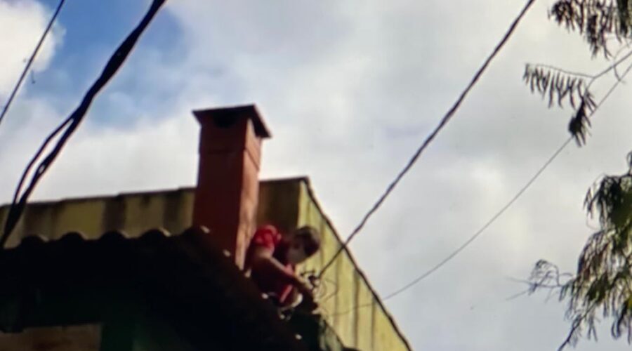 Wilson na Elétrica: Esticando os Fios. Jardim, Quintal Alto, Tigüera 360, Juiz de Fora, Minas Gerais/MG, Brasil. Registro de Capoeira Mestre Polêmico - Professor João Couto Teixeira. IMG_9473. 10 MB. 12h35. Segunda-feira, 21 de Junho de 2021.