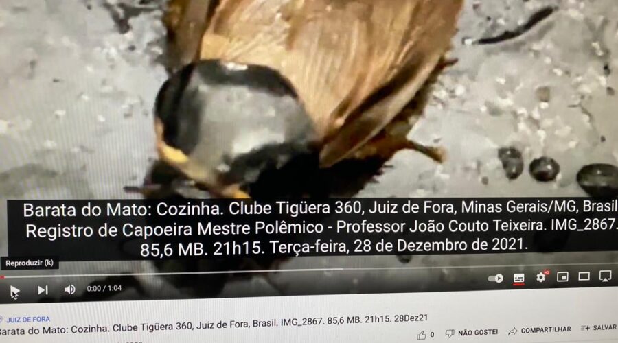 Barata do Mato: Cozinha. Clube Tigüera 360, Juiz de Fora, Minas Gerais/MG, Brasil. Registro de Capoeira Mestre Polêmico - Professor João Couto Teixeira. IMG_2867. 85,6 MB. 21h15. Terça-feira, 28 de Dezembro de 2021.
