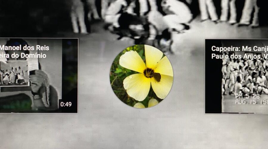 Capoeira Angola: Mestre João Pequeno - João Pereira dos Santos, Capoeira Mestre João Grande - João Oliveira dos Santos e Capoeira Mestre Camisa - José Tadeu Carneiro Cardoso. Salvador, Bahia/BA, Brasil. 362,6 MB.