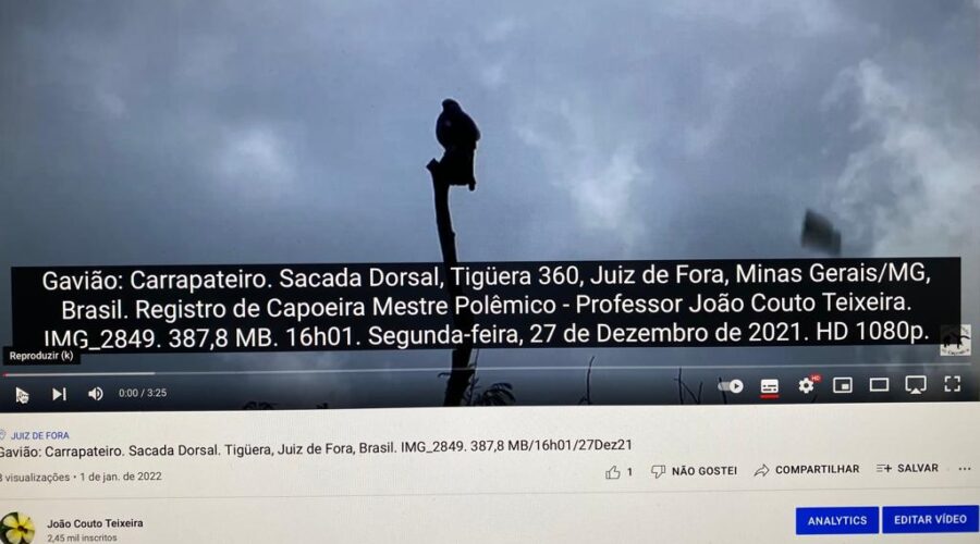 Gavião: Carrapateiro. Sacada Dorsal, Tigüera 360, Juiz de Fora, Minas Gerais/MG, Brasil. Registro de Capoeira Mestre Polêmico - Professor João Couto Teixeira. IMG_2849. 387,8 MB. 16h01. Segunda-feira, 27 de Dezembro de 2021. HD 1080p.