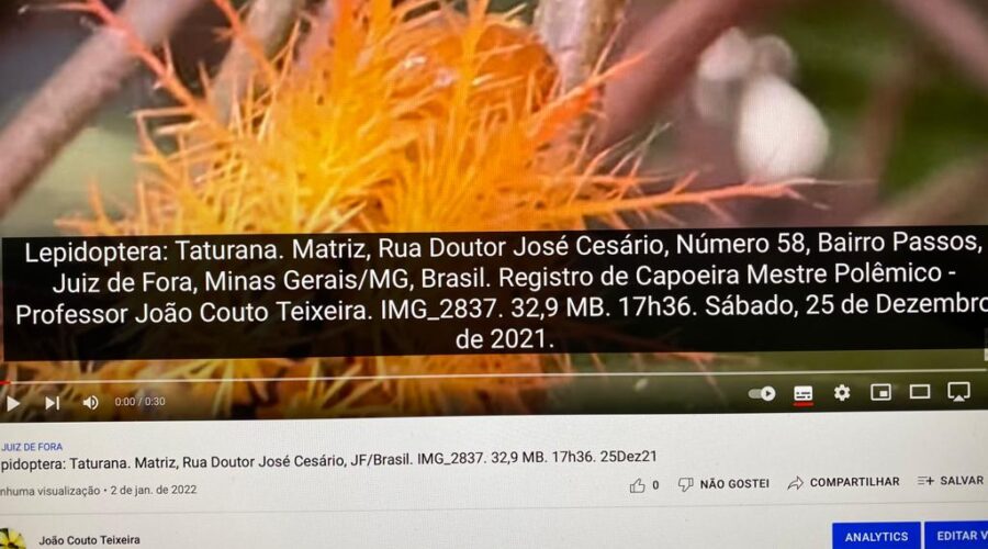 Lepidoptera: Taturana. Matriz, Rua Doutor José Cesário, Número 58, Bairro Passos, Juiz de Fora, Minas Gerais/MG, Brasil. Registro de Capoeira Mestre Polêmico - Professor João Couto Teixeira. IMG_2837. 32,9 MB. 17h36. Sábado, 25 de Dezembro de 2021.