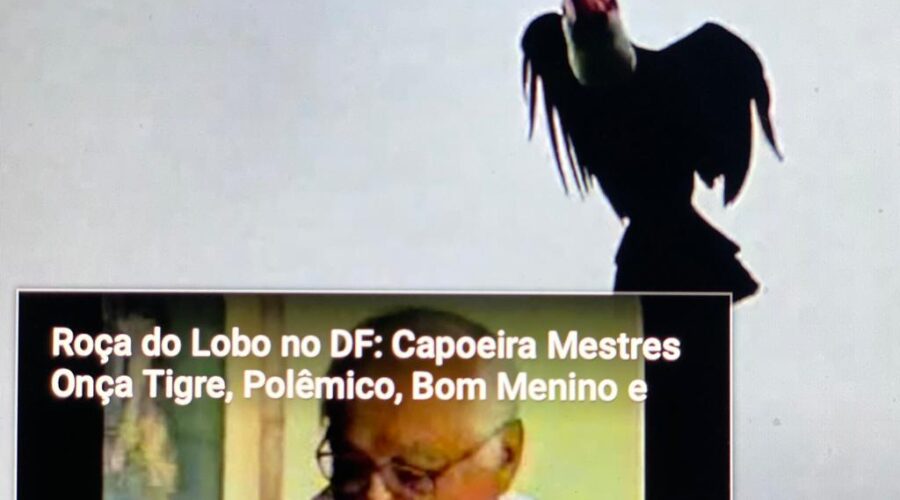 Tucano: Galho do Jacaré. Quarto de Hóspedes, Tigüera 360, Juiz de Fora, Minas Gerais/MG, Brasil. Registro de Capoeira Mestre Polêmico - Professor João Couto Teixeira. IMG_8728. 28,3 MB. 16h16. Quinta-feira, 23 de Dezembro de 2021.
