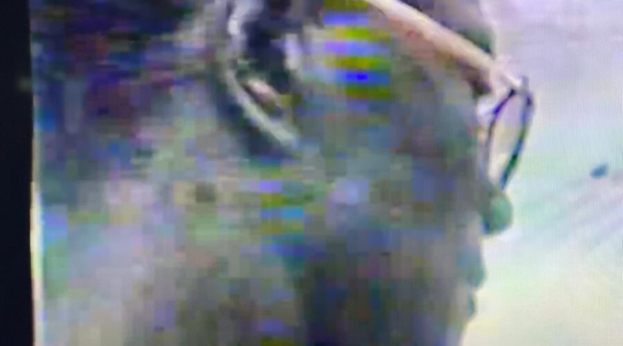 Universidade Livre de Estudos Culturais da Capoeira - Universidade da Capoeira - UNICAPOEIRA, Instituto de Educação Socioambiental - IESAMBI e Grupo de Capoeira Meia Lua - Fundado em 29 de Maio de 1962. Treinamento de Toques de Berimbau em Família. Mestres Gato Preto Doirado - José Gabriel Góes e Dom Ivan Zacarias Guimarães Gobbo. Brazlândia, Distrito Federal/DF, Brasil. Registro de Capoeira Mestre Dom Ivan Zacarias Guimarães Gobbo. 336,6 MB. Segunda-feira, 19 de Novembro de 1990. HD 1080p.