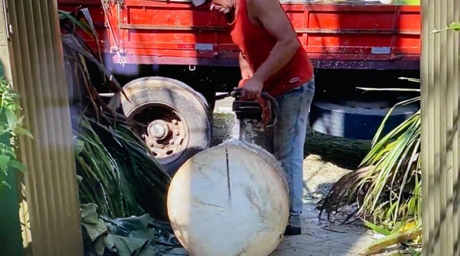 Universidade Livre de Estudos Culturais da Capoeira - Universidade da Capoeira - UNICAPOEIRA, Associação de Capoeira - ASCA, Instituto de Educação Socioambiental - IESAMBI e Grupo de Capoeira Meia Lua - Fundado em 29 de Maio de 1962. Árvores Cortadas e Podadas -Carlos e Edmilson. Jardim, Quintal Alto, Chafariz, Tigüéra 360, Juiz de Fora, Minas Gerais/MG, Brasil. Registro de Capoeira Mestre Polêmico - Professor João Couto Teixeira. IMG_6055/142. 3,7 GB. 14h29. Quinta-feira/Segunda-feira, 05/09 de Maio de 2022. HD 1080p.