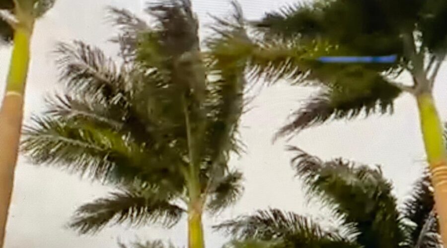 Universidade Livre de Estudos Culturais da Capoeira - Universidade da Capoeira - UNICAPOEIRA, Associação de Capoeira - ASCA, Instituto de Educação Socioambiental - IESAMBI e Grupo de Capoeira Meia Lua - Fundado em 29 de Maio de 1962. Ar Enfurecido. Quintal Alto, Garagem, Tigüéra 360, Juiz de Fora, Minas Gerais/MG, Brasil. Registro de Capoeira Estrela Dalva - Artista Plástica e Cineasta Salete Libardoni. IMG_5863/4. 438,1 MB. 17h03. Sexta-feira, 29de Julho de 2022. HD 1080p.