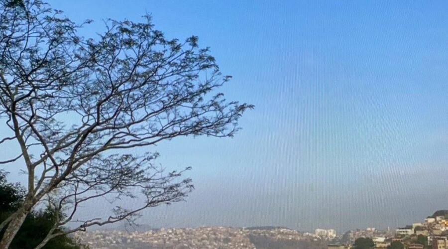 Universidade Livre de Estudos Culturais da Capoeira, Universidade da Capoeira - UNICAPOEIRA, Associação de Capoeira - ASCA, Instituto de Educação Socioambiental - IESAMBI, Grupo de Capoeira Meia Lua - Fundado em 29 de Maio de 1962, Aves em Cantoria Matinal, Suíte, Tigüéra 360, Juiz de Fora, Minas Gerais/MG, Brasil, Registro de Capoeira Estrela Dalva - Artista Plástica e Cineasta Salete Libardoni, IMG_5903, 191.9 MB, 07h38, Quarta-feira - 03de Agosto de 2022, HD 1080p