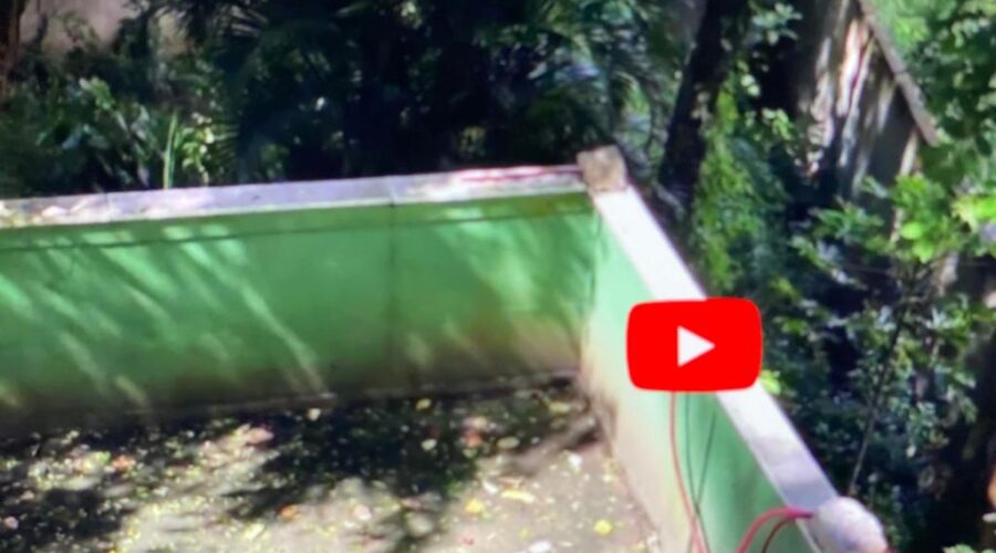 Universidade Livre de Estudos Culturais da Capoeira - Universidade da Capoeira - UNICAPOEIRA, Instituto de Educação Socioambiental - IESAMBI, Associação de Capoeira - ASCA e Grupo de Capoeira MEIA LUA - Fundado em 29 de Maio de 1962. Siriema: Som. Fazenda Vizinha, Quintal Alto Adubeira, Tigüera 360, Juiz de Fora, Minas Gerais/MG, Brasil. Registro de Capoeira Mestre Polêmico - Professor João Couto Teixeira. IMG_4442. 342,9 MB. 09h27. 08 de fevereiro de 2020.