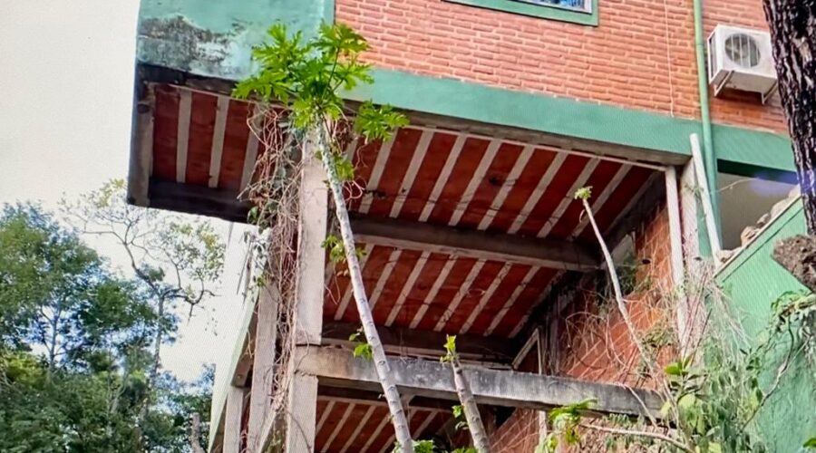 Universidade Livre de Estudos Culturais da Capoeira - Universidade da Capoeira - UNICAPOEIRA, Associação de Capoeira - ASCA, Instituto de Educação Socioambiental - IESAMBI e Grupo de Capoeira Meia Lua - Fundado em 29 de Maio de 1962. Trem. Descarrilhando Montanhas em Minas com Apito. Quintal Baixo, Adubeira, Tigüéra 360, Juiz de Fora, Minas Gerais/MG, Brasil. Registro de Capoeira Mestre Polêmico - Professor João Couto Teixeira. IMG_7512. 49,7 MB. 17h30. Domingo, 04de Setembro de 2022.