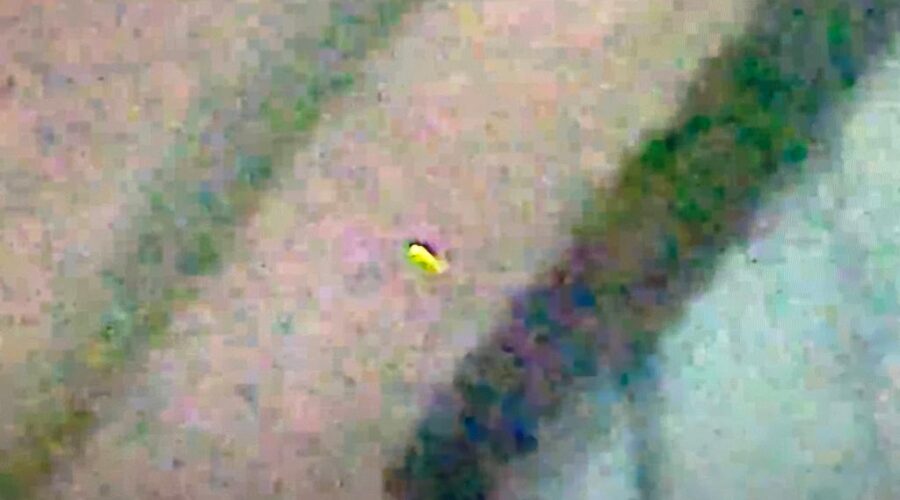 Universidade Livre de Estudos Culturais da Capoeira - Universidade da Capoeira - UNICAPOEIRA, Associação de Capoeira - ASCA, Instituto de Educação Socioambiental - IESAMBI e Grupo de Capoeira Meia Lua - Fundado em 29 de Maio de 1962. Vagalume. Quintal Alto Adubeira, Garagem, Tigüéra 360, Juiz de Fora, Minas Gerais/MG, Brasil. Registro de Capoeira Mestre Polêmico - Professor João Couto Teixeira. IMG_7399. 268,1 MB. 18h51. Domingo, 27 de Novembro de 2022. HD 1080p.