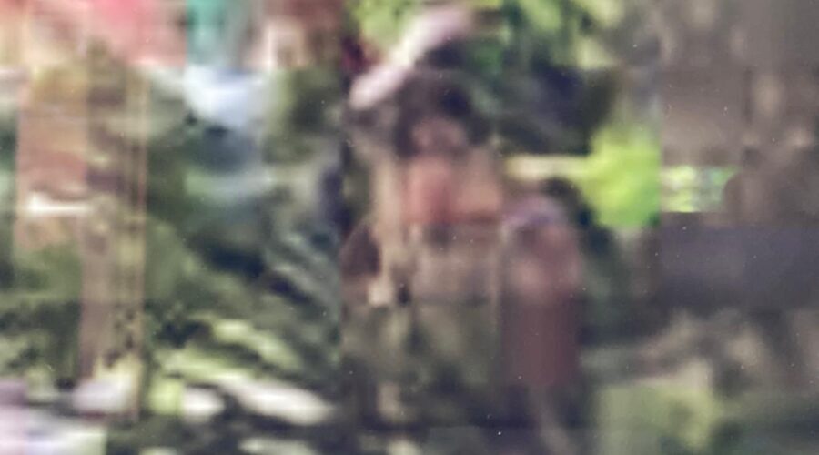 Universidade Livre de Estudos Culturais da Capoeira - Universidade da Capoeira - UNICAPOEIRA, Associação de Capoeira - ASCA, Instituto de Educação Socioambiental - IESAMBI e Grupo de Capoeira Meia Lua - Fundado em 29 de Maio de 1962. Giro da Nave Terra para o Lado Iluminado no Multiverso. Varanda, Tigüéra 360, Juiz de Fora, Minas Gerais/MG, Brasil. Registro de Capoeira Mestre Polêmico - Professor João Couto Teixeira. IMG_3510/2. 7,68 GB. 03h11/04h41. Segunda-feira, 28 de Fevereiro de 2022. HD 1080p.