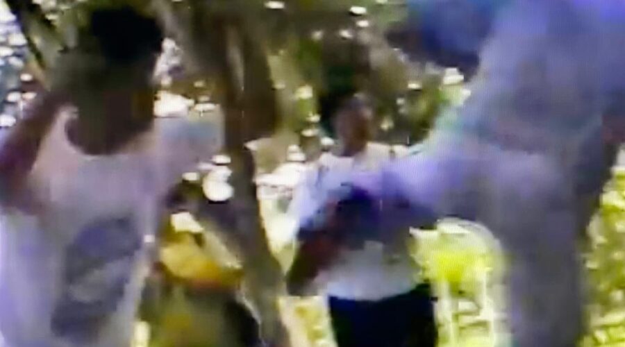 Universidade Livre de Estudos Culturais da Capoeira - Universidade da Capoeira - UNICAPOEIRA, Instituto de Educação Socioambiental - IESAMBI e Grupo de Capoeira Meia Lua - Fundado em 29 de Maio de 1962. Gravação CD "Capoeira 500 Anos - Angola e Regional". Discentes Centro Integrado de Ensino Especial - CIEE. Mestres Onça Tigre - Doutor Milton Freire de Carvalho, Lorde Bom Cabrito - Mário Rodrigues Ferreira do Rosário, Danadinho - Cláudio José Pinheiro Villar de Queiroz, Bartolomeu Vieira das Chagas, Angola - Humberto Souza Vieira, Polêmico - Professor João Couto Teixeira, Tatá - Carlos Domingos de La Bianca Bimbato, Benedito Fernandes Almeida, Pezão - José Ribamar Teixeira Silva, Bom Menino - Aluizio de Melo Cavalcanti Júnior, Doutor Peter Faluhelyi, Professora Lua Bonita - Ana Cláudia Souza Vieira, Graduad@s Radi - Vassili Ivanov, Jácomo Queiroz e Ana Schramm. Franco - Studio 57. SCLN 205, Brasília, Distrito Federal/DF, Brasil. Registro de Capoeiras Mestres Polêmico - Professor João Couto Teixeira, Mandingueiro - Doutor Peter Faluhelyi e Frederico Lins Brasiliense. 4,76 GB. Domingo, 08 de Novembro de 1998.