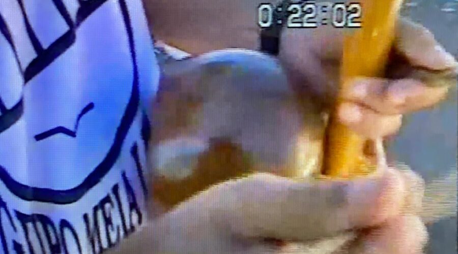 Universidade Livre de Estudos Culturais da Capoeira - Universidade da Capoeira - UNICAPOEIRA, Instituto de Educação Socioambiental - IESAMBI e Grupo de Capoeira MEIA LUA - Fundado em 29 de Maio de 1962. Oitavo Encontro Nacional de Capoeira - 8º ENCA. Mestre Polêmico e Sônia. Reportagem de Lilian Damasceno. Canal Educação, Núcleo de Teleeducação - NUTEL, Serviço de Provimento e Produção - SEPPRO, Centro del Recursos Tecnológicos - CRT, Secretaria de Estado de Educação - SEE, Brasília, Distrito Federal/DF, Brasil. Registro de José Luiz Gonçalves. Sábado, 27 de Dezembro de 1997.