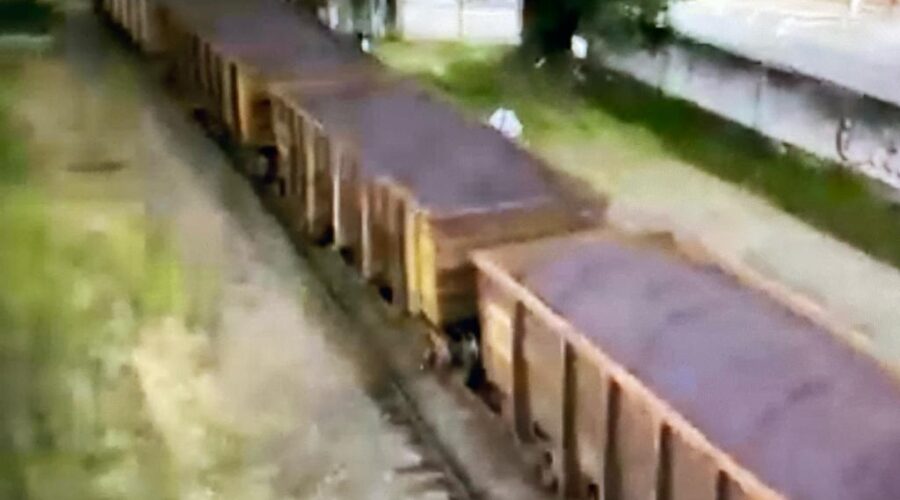 Trem Desgrenhando Montanhas em Minas Sem Apito. Viaduto entre o Bairro Costa Carvalho e a Praça Antônio Carlos, Juiz de Fora, Minas Gerais/MG, Brasil. Registro de Capoeira Mestre Polêmico - Professor João Couto Teixeira. IMG_5232. 268,6 MB. 21h26. Terça-feira, 14 de Março de 2023. HD 1080p. Universidade Livre de Estudos Culturais da Capoeira - Universidade da Capoeira - UNICAPOEIRA, Instituto de Educação Socioambiental - IESAMBI, Associação de Capoeira - ASCA e Grupo de Capoeira MEIA LUA - Fundado Terça-feira, 29 de Maio de 1962.