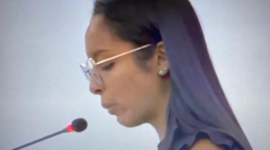 Celebração Eucarística. Padre João Francisco Batista da Silva. Igreja Nossa Senhora Mãe de Deus, Bairro Nossa Senhora de Lourdes, Juiz de Fora. IMG_8217. 6,82 GB.