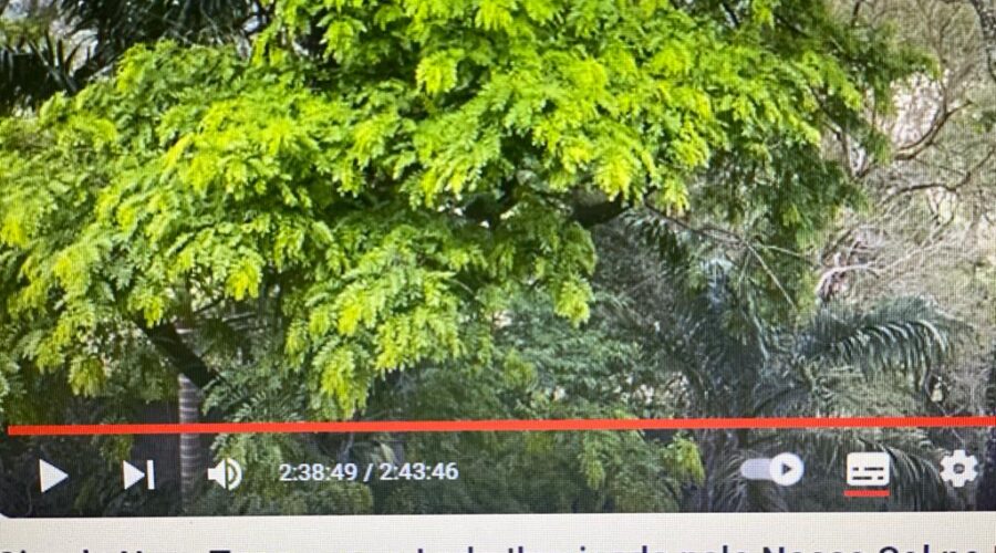 Giro da Nave Terra para o Lado Iluminado pelo Nosso Sol no Multiverso. Closet, Tigüéra 360, Juiz de Fora, Minas Gerais/MG, Brasil. Registro de Capoeira Mestre Polêmico - Professor João Couto Teixeira. IMG_3039. 18.58 GB. 05h12. Segunda-feira, 02 de Outubro de 2023. Universidade Livre de Estudos Culturais da Capoeira - Universidade da Capoeira - UNICAPOEIRA, Instituto de Educação Socioambiental - IESAMBI, Associação de Capoeira - ASCA e Grupo de Capoeira MEIA LUA - Fundado Terça-feira, 29 de Maio de 1962. Seja membro deste canal e ganhe benefícios: https://www.youtube.com/channel/UCE6HrA5Y_VZ4-hgw8FG13aw/join
