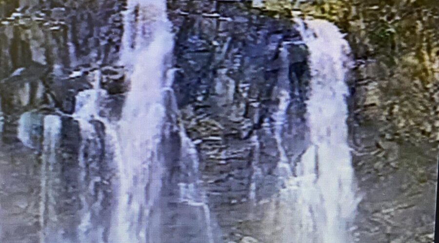 Companhia de Água e Esgotos - CAESB: Coletânea 3 - Água Presente para Todos - Governo Democrático e Popular em Defesa de Brasília, Distrito Federal/DF, Brasil. Registro de Capoeira Mestre Polêmico - Professor Doutor João Couto Teixeira. 8,19 GB. MOV. Universidade Livre de Estudos Culturais da Capoeira - Universidade da Capoeira - UNICAPOEIRA, Instituto de Educação Socioambiental - IESAMBI, Associação de Capoeira - ASCA e Grupo de Capoeira MEIA LUA - Fundado Terça-feira, 29 de Maio de 1962. Orquestra Harmônica de Berimbaus. Darkest Child e Hall of the Mountain King de Kevin MacLeod são licenciadas de acordo com a licença Atribuição 4.0 da Creative Commons. https://creativecommons.org/licenses/by/4.0/ @magoogaia1168 • há 2 dias Excelente documentário sobre a água. O Brasil tem muita água, porém o desenvolvimento desordenado das cidades força uma distribuição muito assimétrica. Por isso, deve-se considerar a água como recurso finito. Controlar o consumo é vital. http://universidadedacapoeira.com/ Seja membro deste canal e ganhe benefícios: https://www.youtube.com/channel/UCE6HrA5Y_VZ4-hgw8FG13aw/join PIX - polemico72@hotmail.com