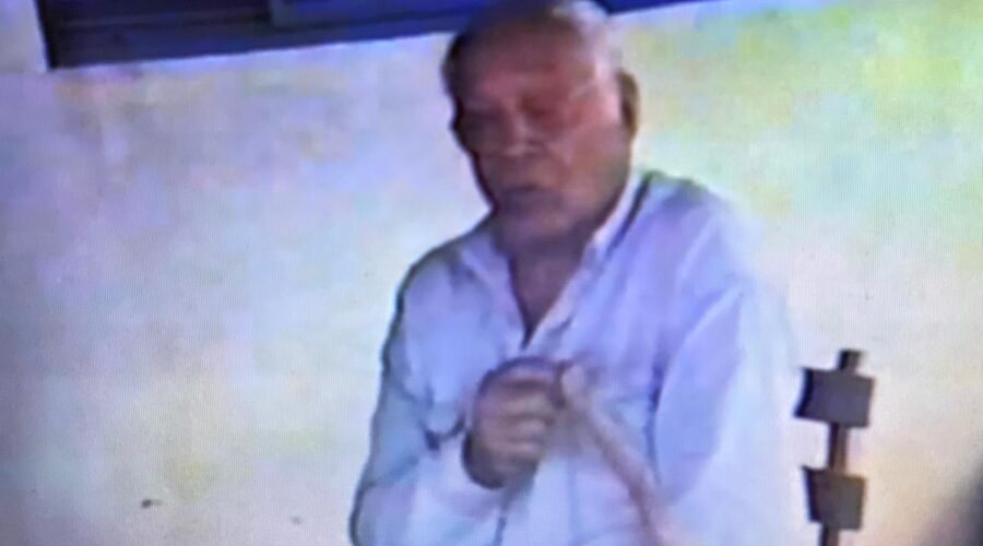 Papoeira: Mestres Onça Tigre - Doutor Milton Freire de Carvalho, Angoleiro, Pombo de Ouro - José Bispo Correia, José Paulo Santos, Dom Ivan, Polêmico - Professor Doutor João Couto Teixeira, Squizyto - Reginaldo Silveira da Costa, Pesado - Pedro de Abreu Neiva, Marinheiro - Luiz Augusto. Arniqueira (Águas Claras), Brasília, Distrito Federal/DF, Brasil. Registro de Capoeira Mestre Dom Ivan Zacarias Guimarães Gobbo. 6,99 GB. Segunda-feira, 21 de Fevereiro de 2000. HD 1080p. MOV. Universidade Livre de Estudos Culturais da Capoeira - Universidade da Capoeira - UNICAPOEIRA, Instituto de Educação Socioambiental - IESAMBI, Associação de Capoeira - ASCA e Grupo de Capoeira MEIA LUA - Fundado Terça-feira, 29 de Maio de 1962. Orquestra Harmônica de Berimbaus. http://universidadedacapoeira.com/ Seja membro deste canal e ganhe benefícios: https://www.youtube.com/channel/UCE6HrA5Y_VZ4-hgw8FG13aw/join PIX - polemico72@hotmail.com