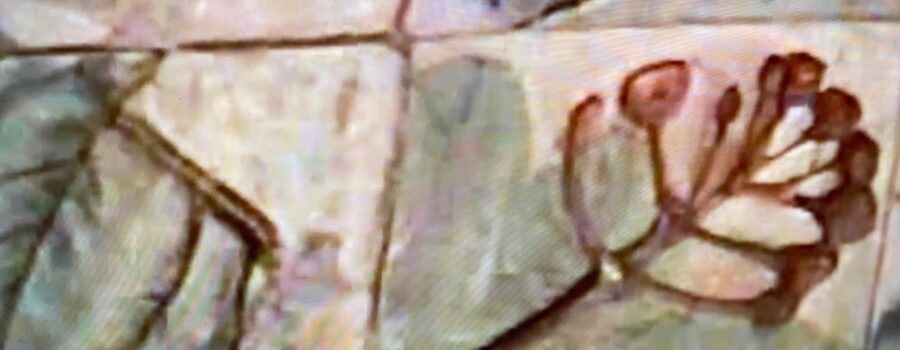 Gravação e Pintura em Cerâmica e Pastel: Alda Carvalho e Salete Libardoni. SESC 504 Sul - Espaço Ary Barroso, Brasília, Distrito Federal/DF, Brasil. Registro de Capoeira Mestre Polêmico - Professor Doutor João Couto Teixeira. 4,24 GB. O1 de Março. HD 1080p. MOV. Universidade Livre de Estudos Culturais da Capoeira - Universidade da Capoeira - UNICAPOEIRA, Instituto de Educação Socioambiental - IESAMBI, Associação de Capoeira - ASCA e Grupo de Capoeira MEIA LUA - Fundado Terça-feira, 29 de Maio de 1962. Orquestra Harmônica de Berimbaus. http://universidadedacapoeira.com/ Seja membro deste canal e ganhe benefícios: https://www.youtube.com/channel/UCE6HrA5Y_VZ4-hgw8FG13aw/join PIX - polemico72@hotmail.com