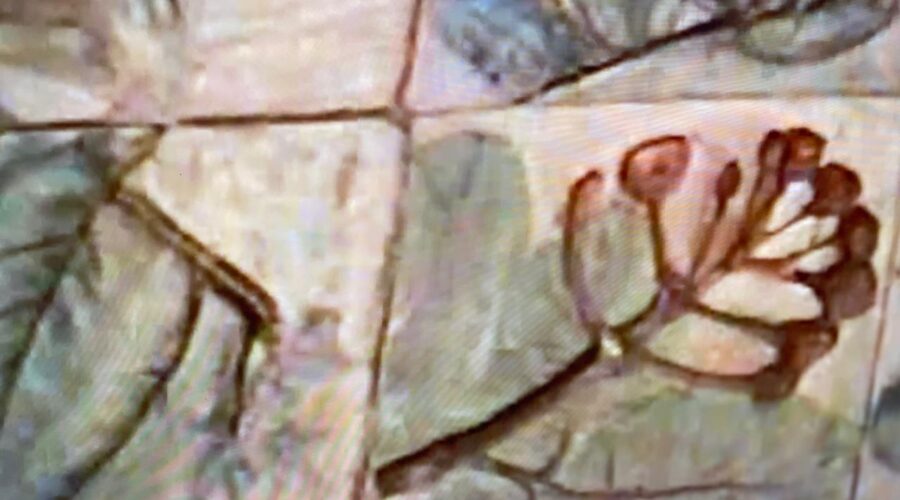 Gravação e Pintura em Cerâmica e Pastel: Alda Carvalho e Salete Libardoni. SESC 504 Sul - Espaço Ary Barroso, Brasília, Distrito Federal/DF, Brasil. Registro de Capoeira Mestre Polêmico - Professor Doutor João Couto Teixeira. 4,24 GB. O1 de Março. HD 1080p. MOV. Universidade Livre de Estudos Culturais da Capoeira - Universidade da Capoeira - UNICAPOEIRA, Instituto de Educação Socioambiental - IESAMBI, Associação de Capoeira - ASCA e Grupo de Capoeira MEIA LUA - Fundado Terça-feira, 29 de Maio de 1962. Orquestra Harmônica de Berimbaus. http://universidadedacapoeira.com/ Seja membro deste canal e ganhe benefícios: https://www.youtube.com/channel/UCE6HrA5Y_VZ4-hgw8FG13aw/join PIX - polemico72@hotmail.com