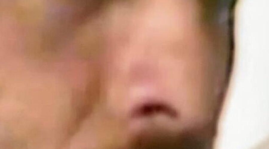 Mestres Onça Tigre - Doutor Milton Freire de Carvalho, Zé Baiano, Dom Ivan Zacarias Guimarães Gobbo, Polêmico, Pesado - Pedro de Abreu Neiva, Ricardo Bonfim, Marinheiro - Luiz Augusto, Boca Senzala - Humberto Barbosa de Souza, Deputado Silvio Linhares. Brasília, Distrito Federal/DF, Brasil. Registro de Capoeira Mestre Polêmico - Professor Doutor João Couto Teixeira. 3,43 GB. Sábado, 05 de Junho de 2004. HD 1080p. MOV. Universidade Livre de Estudos Culturais da Capoeira - Universidade da Capoeira - UNICAPOEIRA, Instituto de Educação Socioambiental - IESAMBI, Associação de Capoeira - ASCA e Grupo de Capoeira MEIA LUA - Fundado Terça-feira, 29 de Maio de 1962. Orquestra Harmônica de Berimbaus. http://universidadedacapoeira.com/ Seja membro deste canal e ganhe benefícios: https://www.youtube.com/channel/UCE6HrA5Y_VZ4-hgw8FG13aw/join PIX - polemico72@hotmail.com